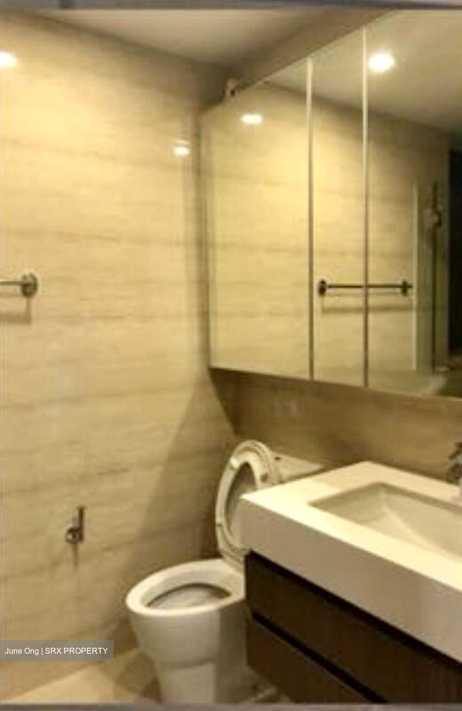The Palette (D18), Condominium #581958141
